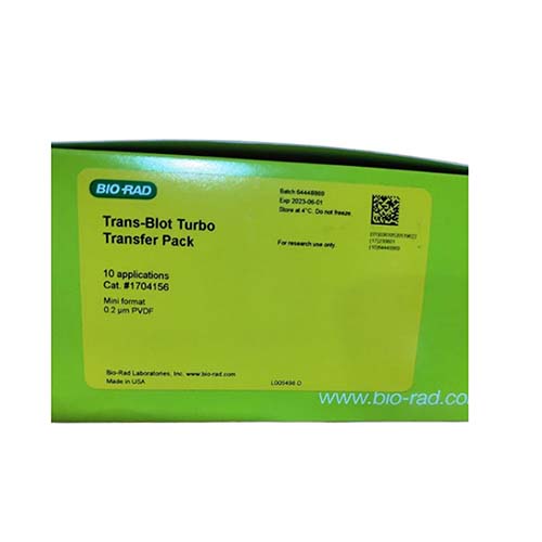 Trans-Blot Turbo Mini 0.2 μm PVDF 轉(zhuǎn)移套裝 Trans-Blot Turbo Mini 0.2 μm PVDF Transfer Packs