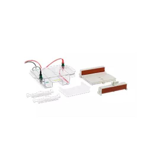寬型 Mini-Sub Cell GT 水平電泳系統(tǒng)，15 x 10 cm 托盤，帶凝膠灌注器 Wide Mini-Sub Cell GT Horizontal Electrophoresis System, 15 x 10 cm tray, with gel caster
