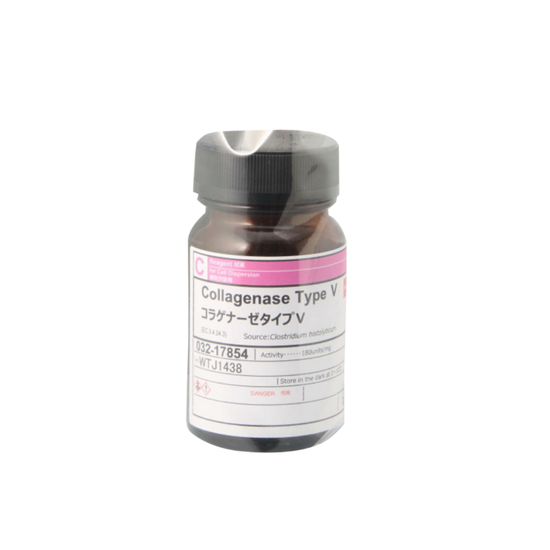 膠原酶V型