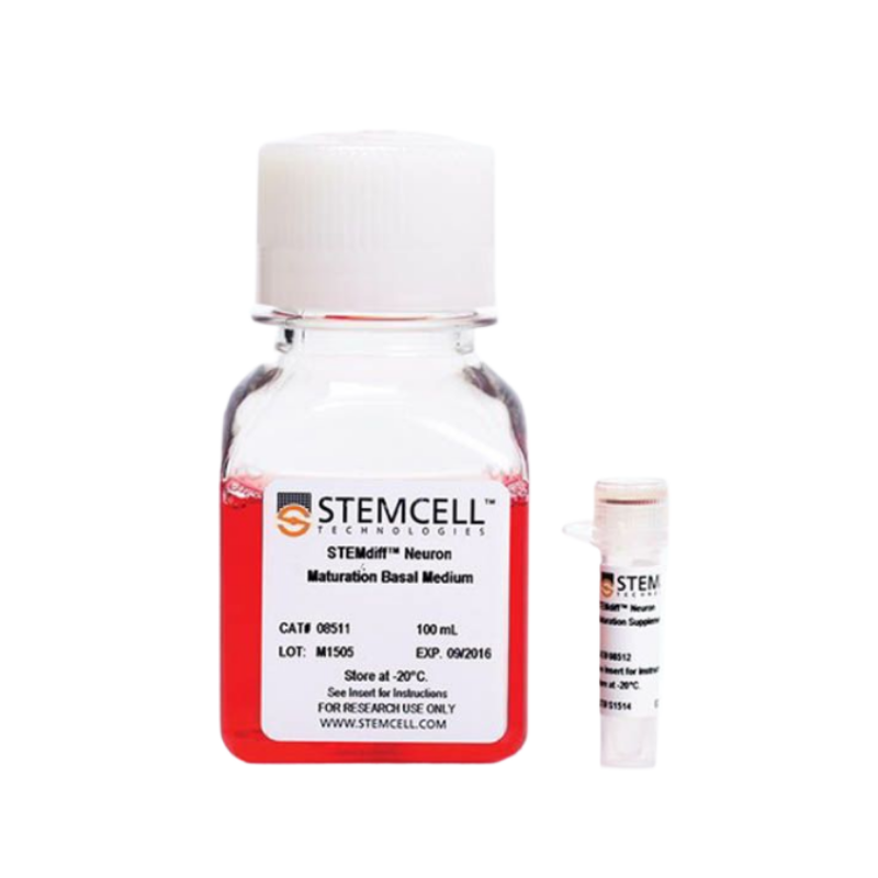 STEMdiff?前腦神經(jīng)元成熟試劑盒