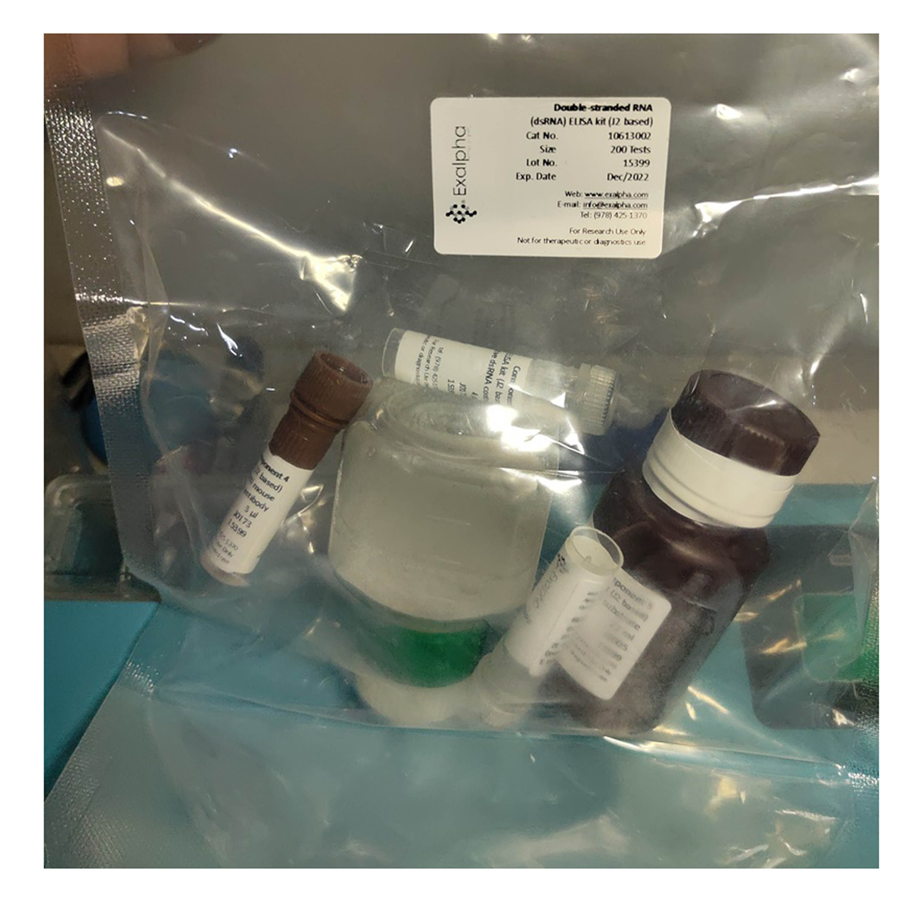 雙鏈 RNA 抗體檢測試劑盒 dsRNA Detection Kit (J2 based)