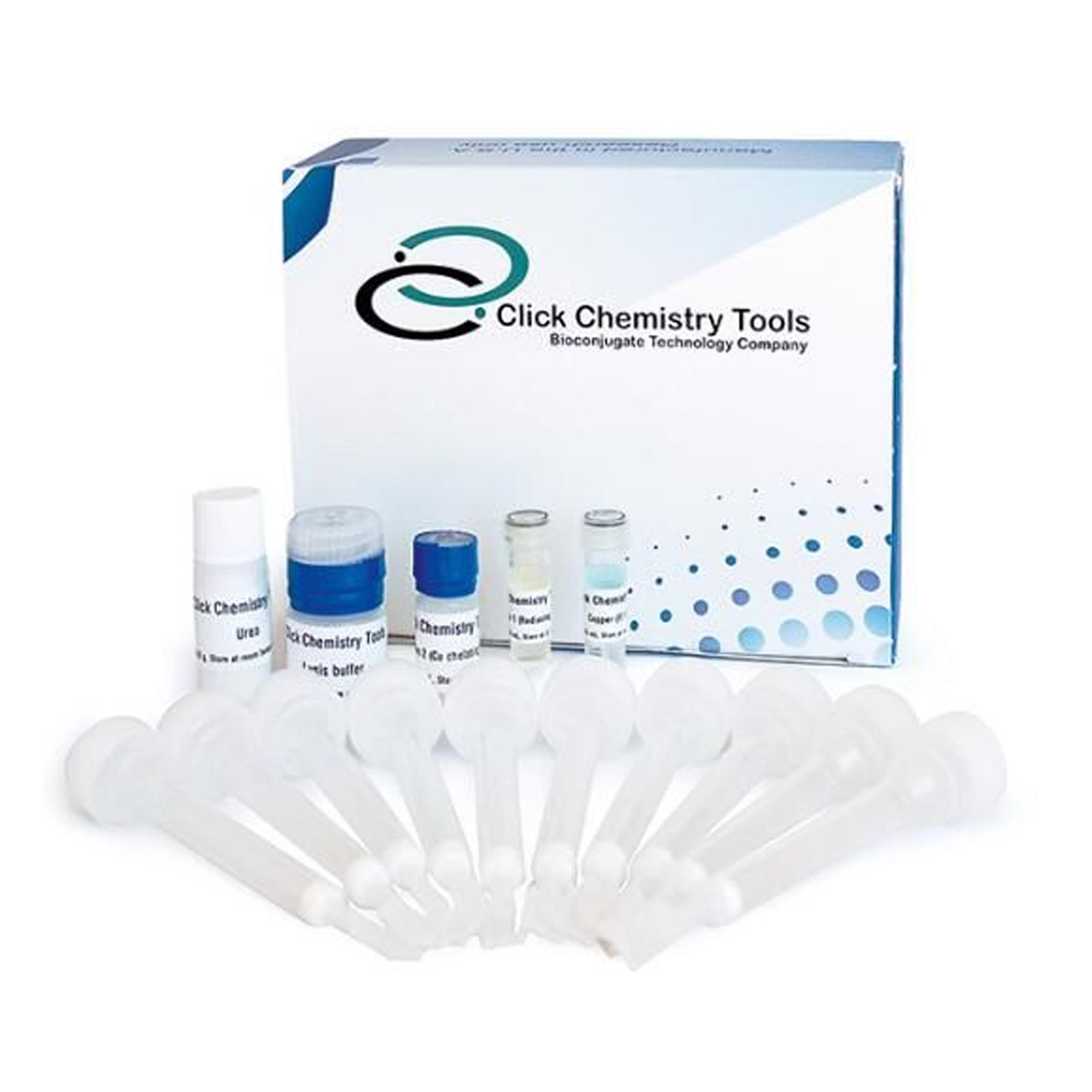 點(diǎn)擊化學(xué)標(biāo)記蛋白捕獲試劑盒 Click-&-Go Click Chemistry Capture Kit