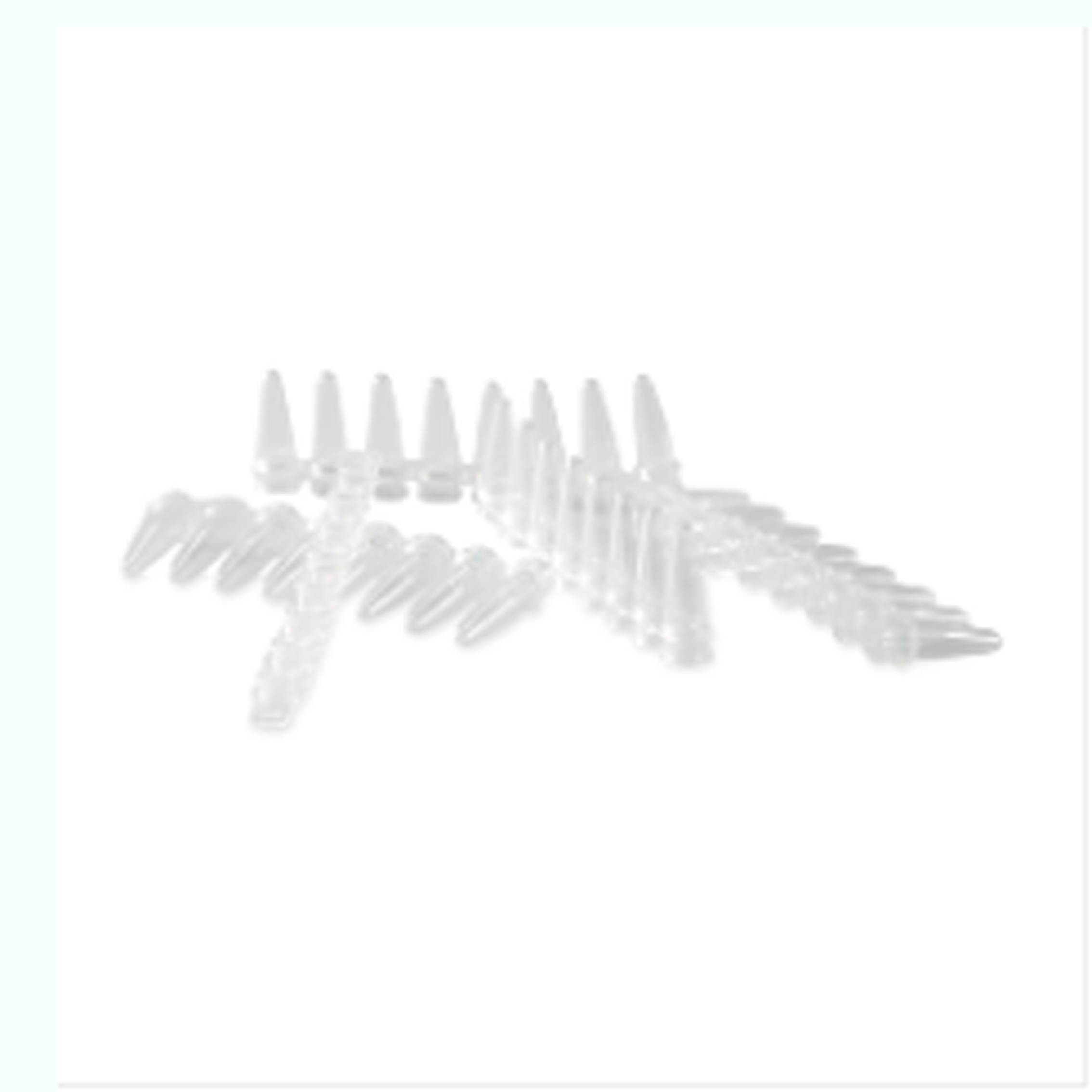 0.2ml 熒光定量 PCR 平蓋八排管(含蓋)