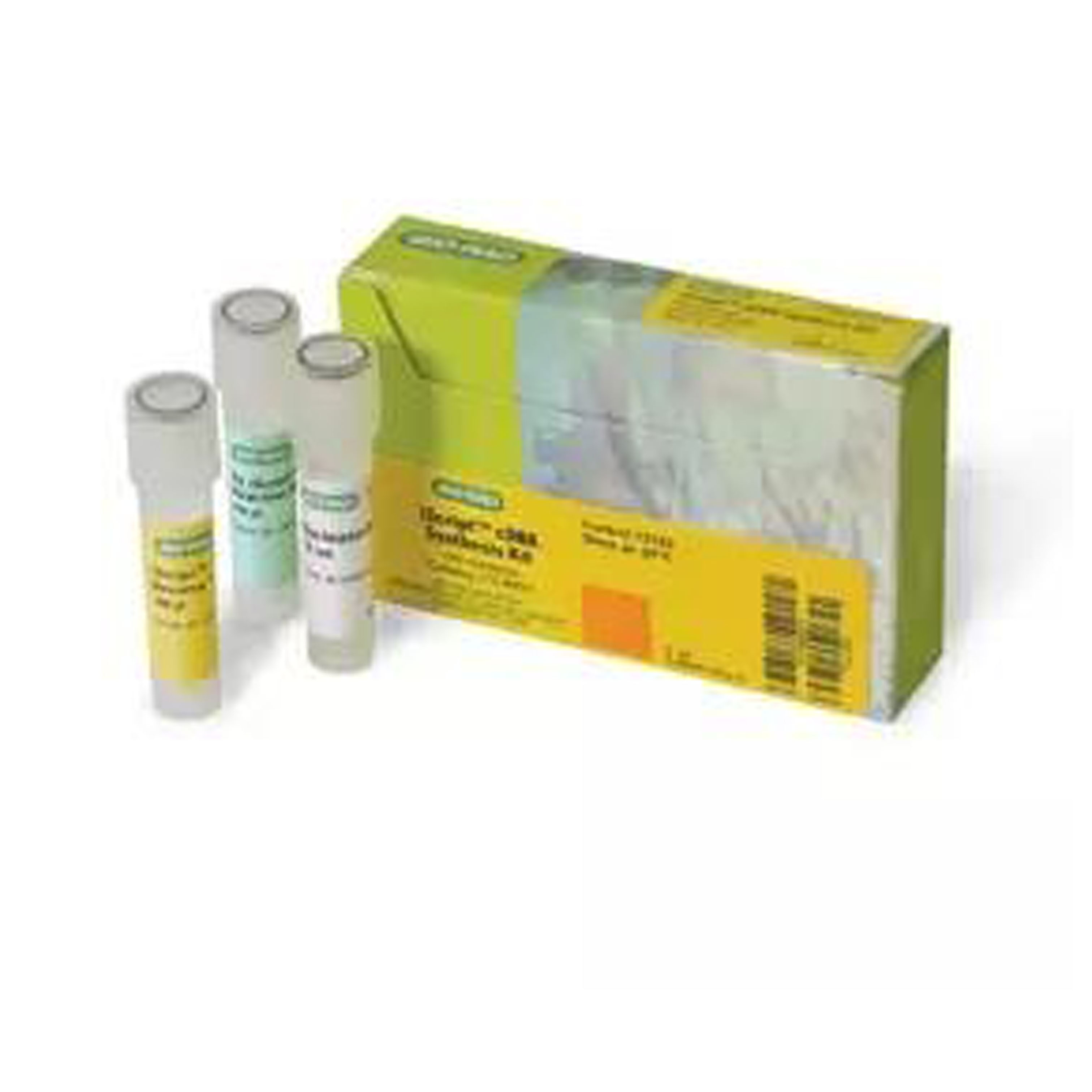 iScript? cDNA 合成試劑盒，100 x 20 μl 反應(yīng) iScript? cDNA Synthesis Kit, 100 x 20 μl rxns