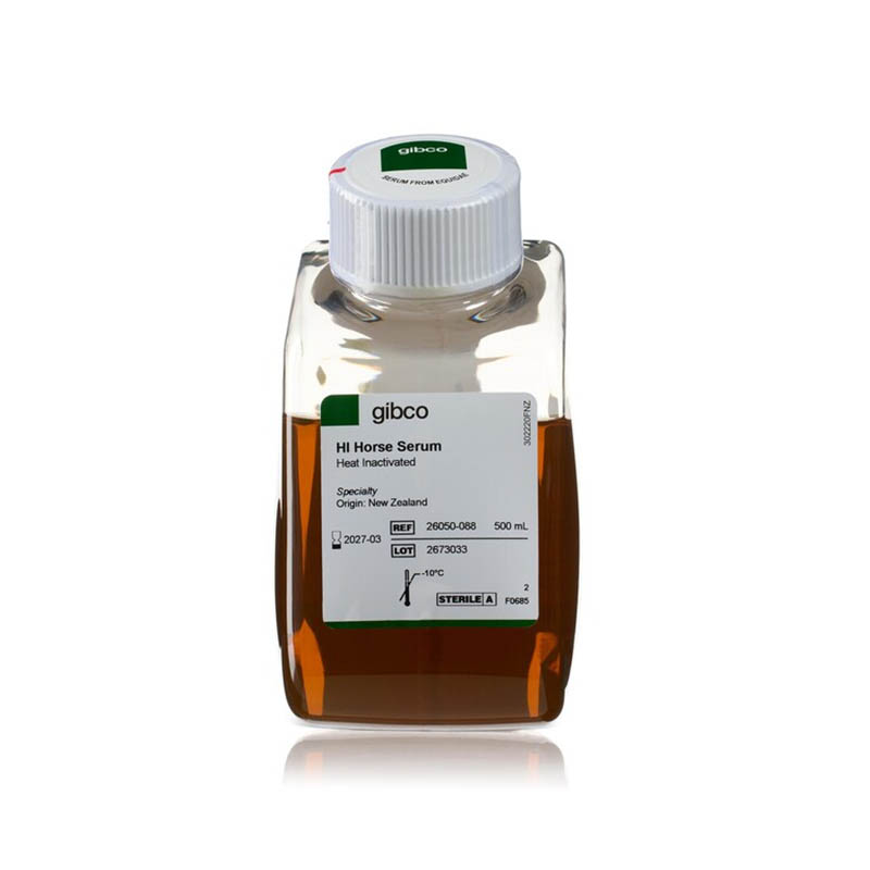 馬血清，熱滅活，新西蘭來源 Horse Serum, heat inactivated, New Zealand origin