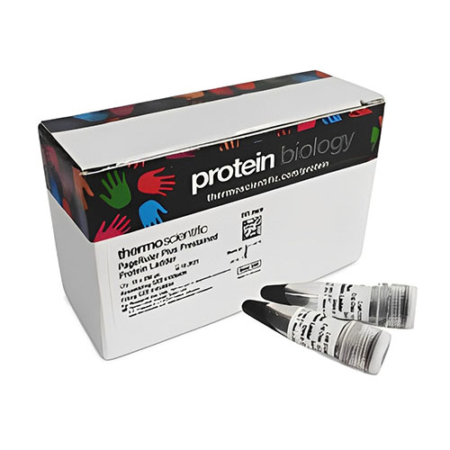 PageRuler? Plus 預(yù)染蛋白分子量標(biāo)準(zhǔn)，10 至 250 kDa PageRule Plus Prestained Protein Fermenta