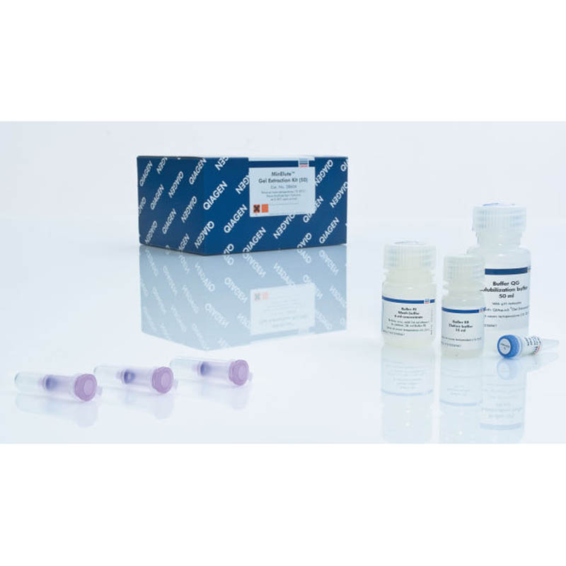 MinElute Gel Extraction Kit 快速洗脫膠回收試劑盒