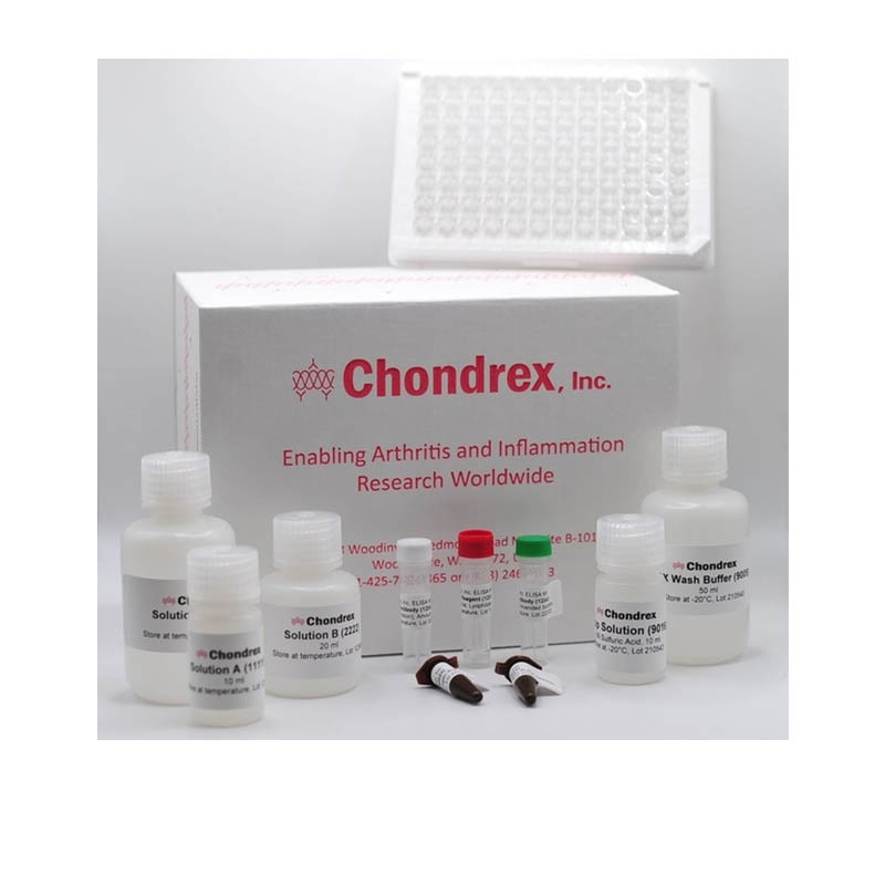 小鼠抗dsdna IgG抗體測定試劑盒 Mouse Anti-dsDNA IgG Antibody Assay Kit