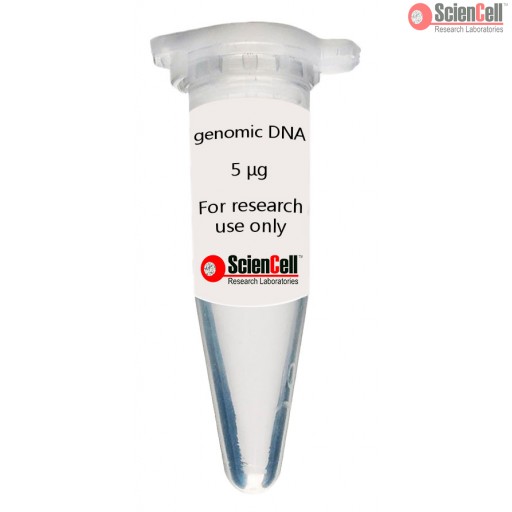 聚苯乙烯CellSTACK?5層細(xì)胞培養(yǎng)室，帶透氣蓋，2/箱 Corning CellSTACK, 5-layer Polystyrene vessel with Vent Caps, TC treated Growth Surface, Sterile, 1 per bag, 2 per case