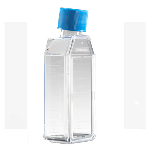 細(xì)胞培養(yǎng)瓶12.5c㎡ 25ml斜頸 透氣蓋 TC Faclon