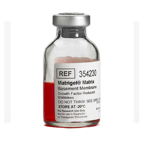 Corning? Matrigel? 生長因子減量 (GFR) 基底膜基質(zhì)，不含LDEV Corning? Matrigel? Growth Factor Reduced (GFR) Basement Membrane Matrix, LDEV-free