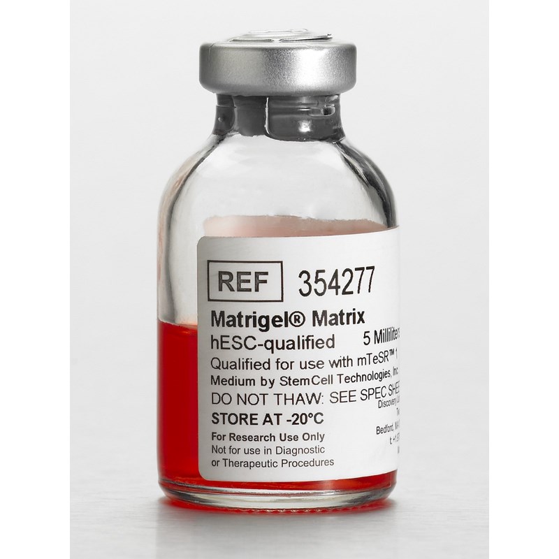 Corning? Matrigel? 基質(zhì)，適用于hESC，不含LDEV Corning? Matrigel? substrate, for hESC, LDEV-free, 5 mL