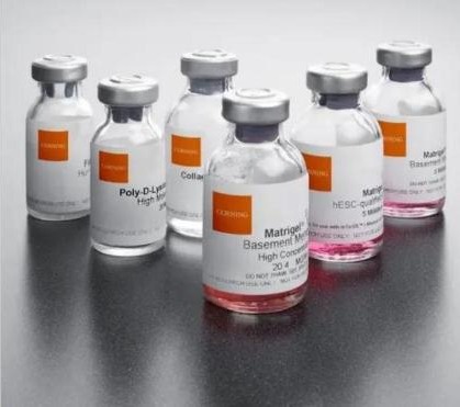 Corning? Matrigel? 基底膜基質(zhì)，不含LDEV Corning? Matrigel? Growth Factor Reduced (GFR) Basement Membrane Matrix, LDEV-free