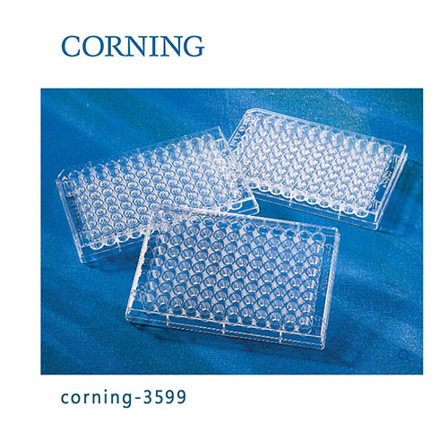 96孔板 平底 TC表面 PS（聚苯乙烯）材質(zhì) 帶蓋 滅菌 Corning? 96-well Clear Flat Bottom Polystyrene TC-treated Microplates, Individually Wrapped, with Lid, Sterile