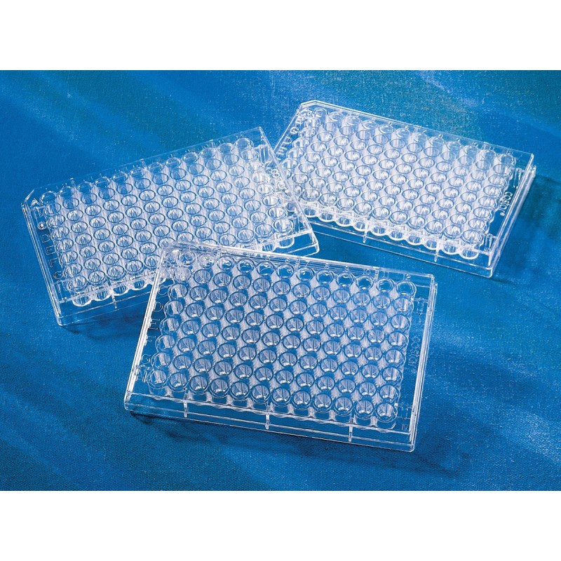 96孔板，V形底，TC表面，滅菌，獨立包裝 Costar 96 Well Clear V-Bottom Tissue Culture-Treated Microplate with Lid, Sterile, Individually Wrapped, 50/case