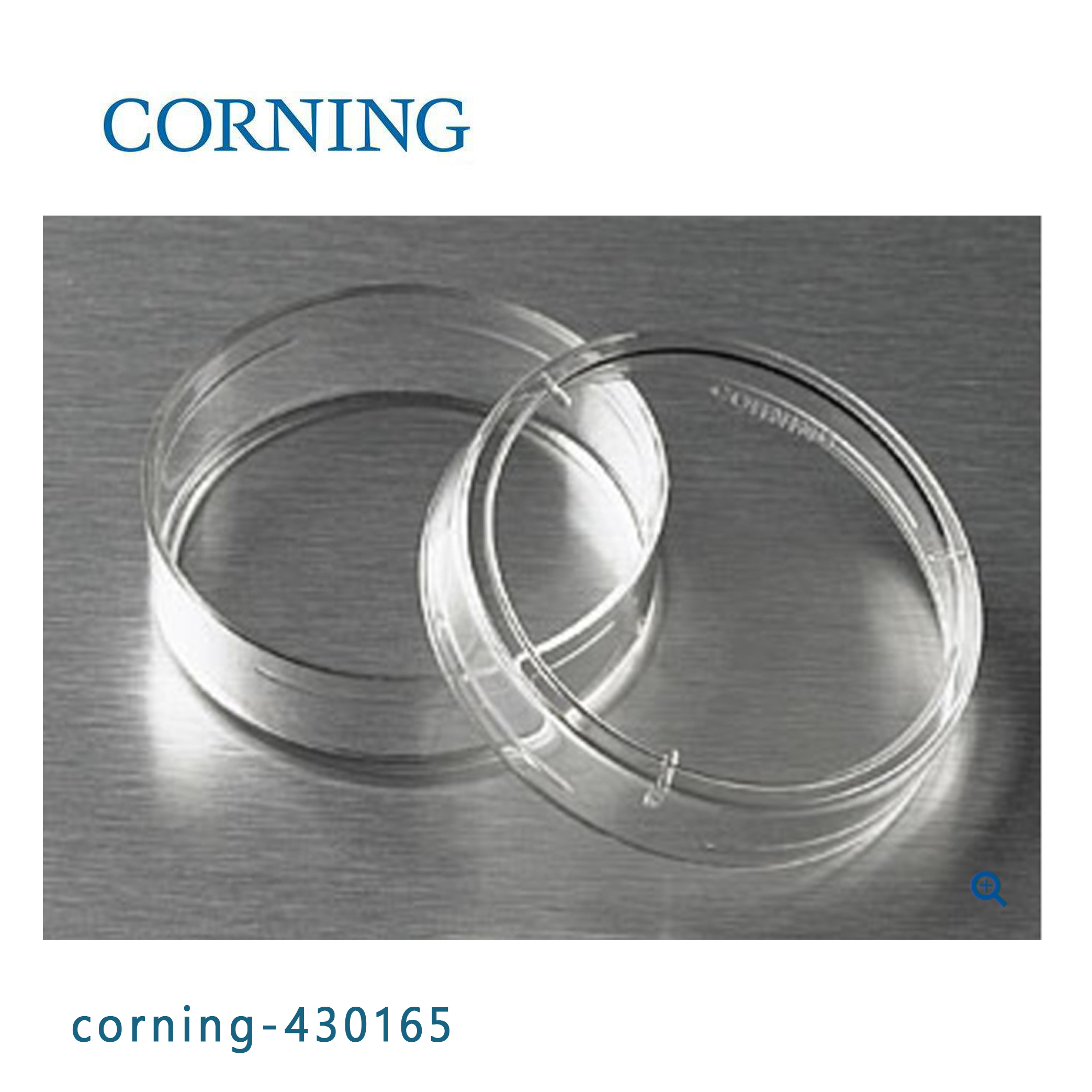 Corning? 35 mm經(jīng)TC處理培養(yǎng)皿 Corning? 35 mm TC-treated Culture Dish