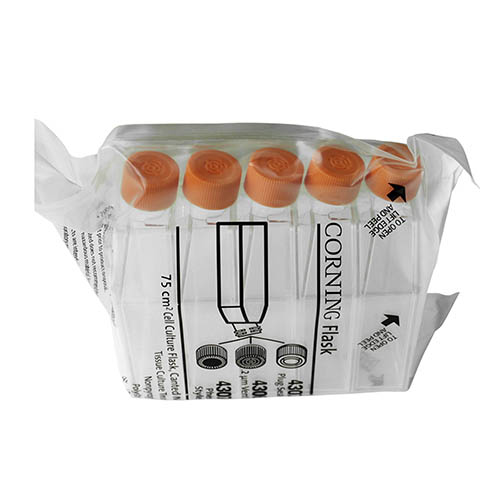 75cm2正方透氣蓋斜口細(xì)胞培養(yǎng)瓶 Corning? 75cm2 Rectangular Canted Neck Cell Culture Flask with Vent Cap