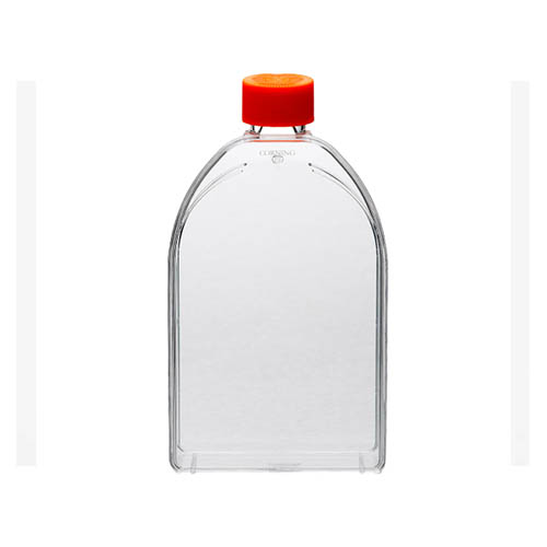 Corning? 150cm2 U形斜頸細胞培養(yǎng)瓶，帶透氣蓋 Corning? 150cm2 U-Shaped Canted Neck Cell Culture Flask with Vent Cap