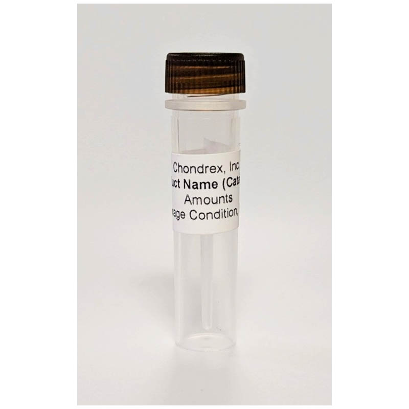 陽離子牛血清白蛋白（cBSA） Cationic bovine Serum Albumin (cBSA)