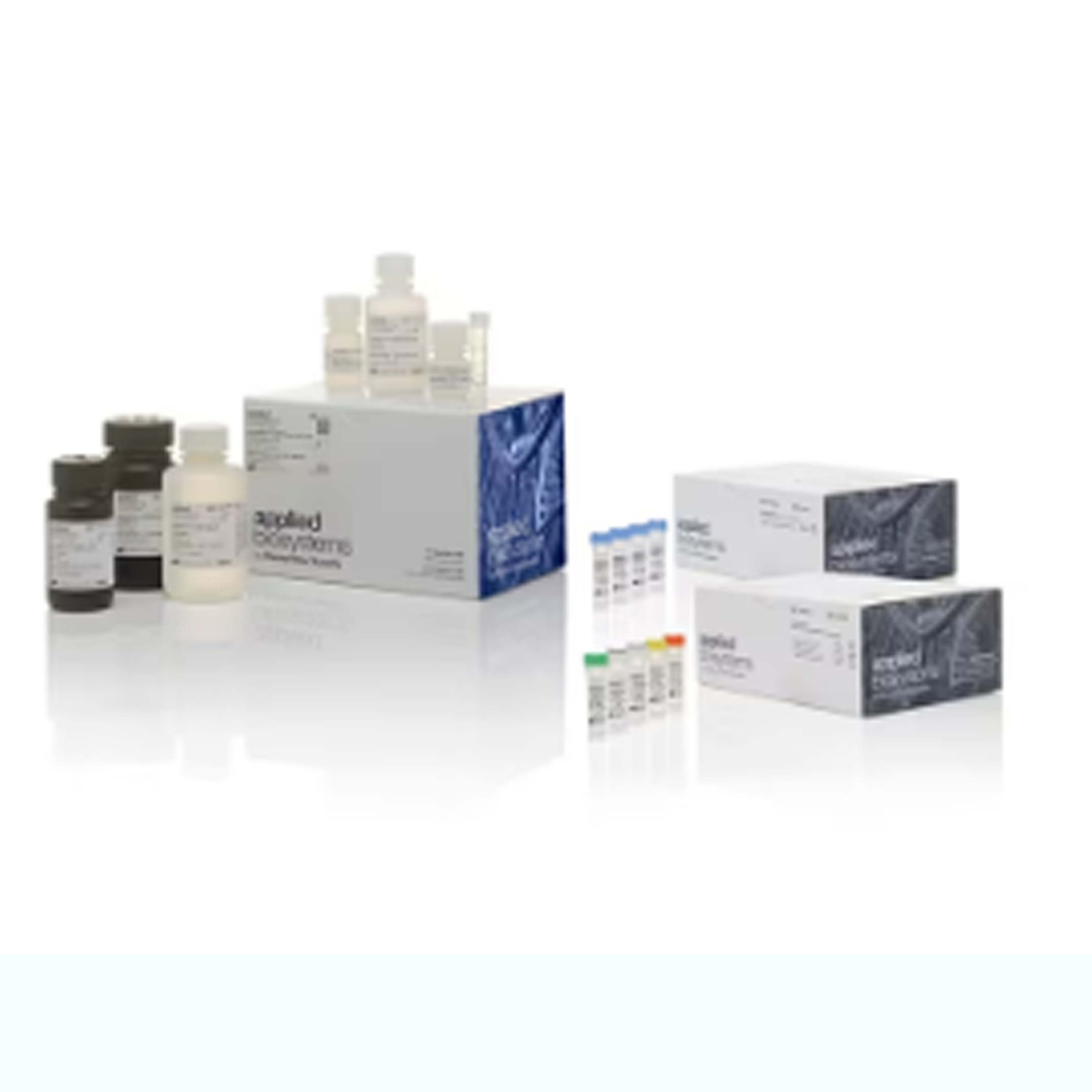 VetMAX? MastiType Myco8 套裝試劑盒