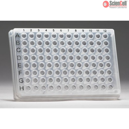 人類神經祖細胞標記qPCR檢測試劑盒，Human Neural Progenitor Markers qPCR Array Kit