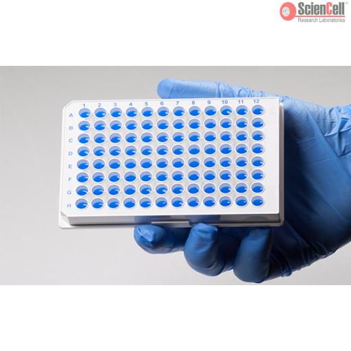 人PD-1/PD-L1檢查點途徑qPCR檢測試劑盒，GeneQuery? Human PD-1/PD-L1 Checkpoint Pathway qPCR Array Kit