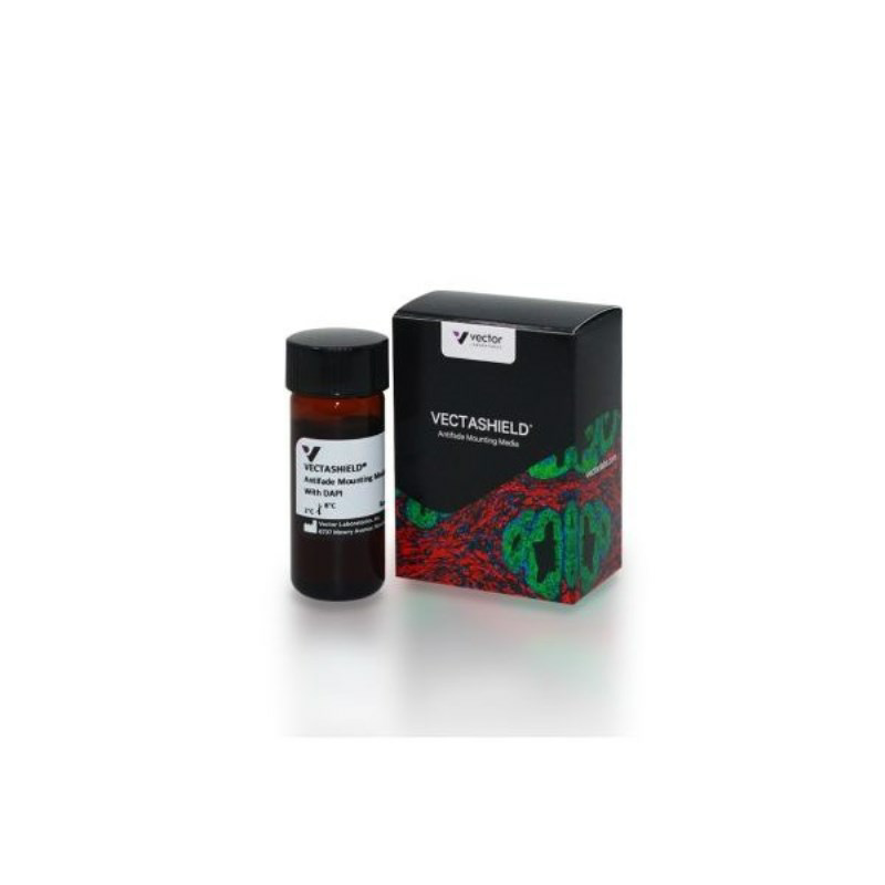 熒光封片劑（含 DAPI）10ml