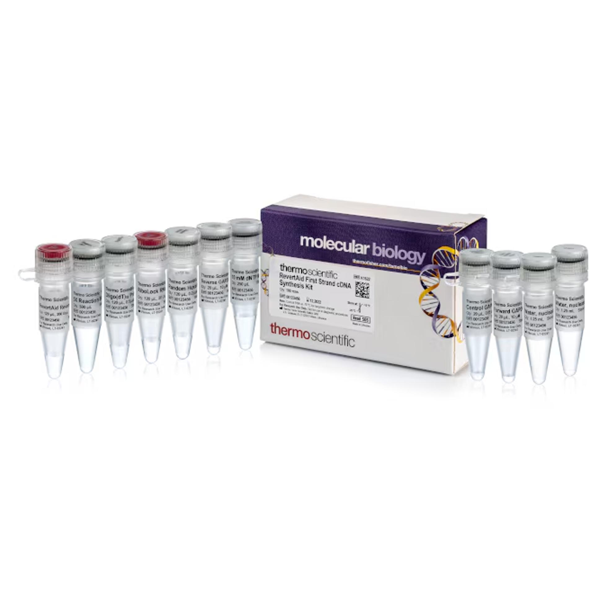RT逆轉(zhuǎn)錄試劑盒 Thermo Scientific??RevertAid First Strand cDNA Synthesis Kit