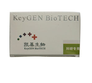 BCA蛋白含量檢測(cè)試劑盒