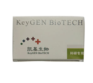全蛋白提取試劑盒