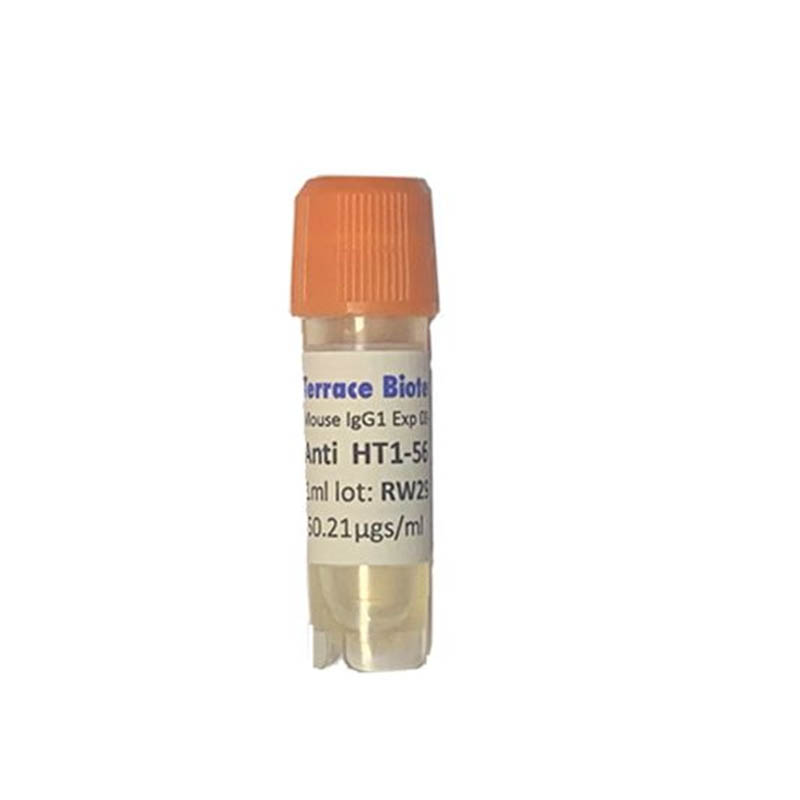 Anti HT1-56