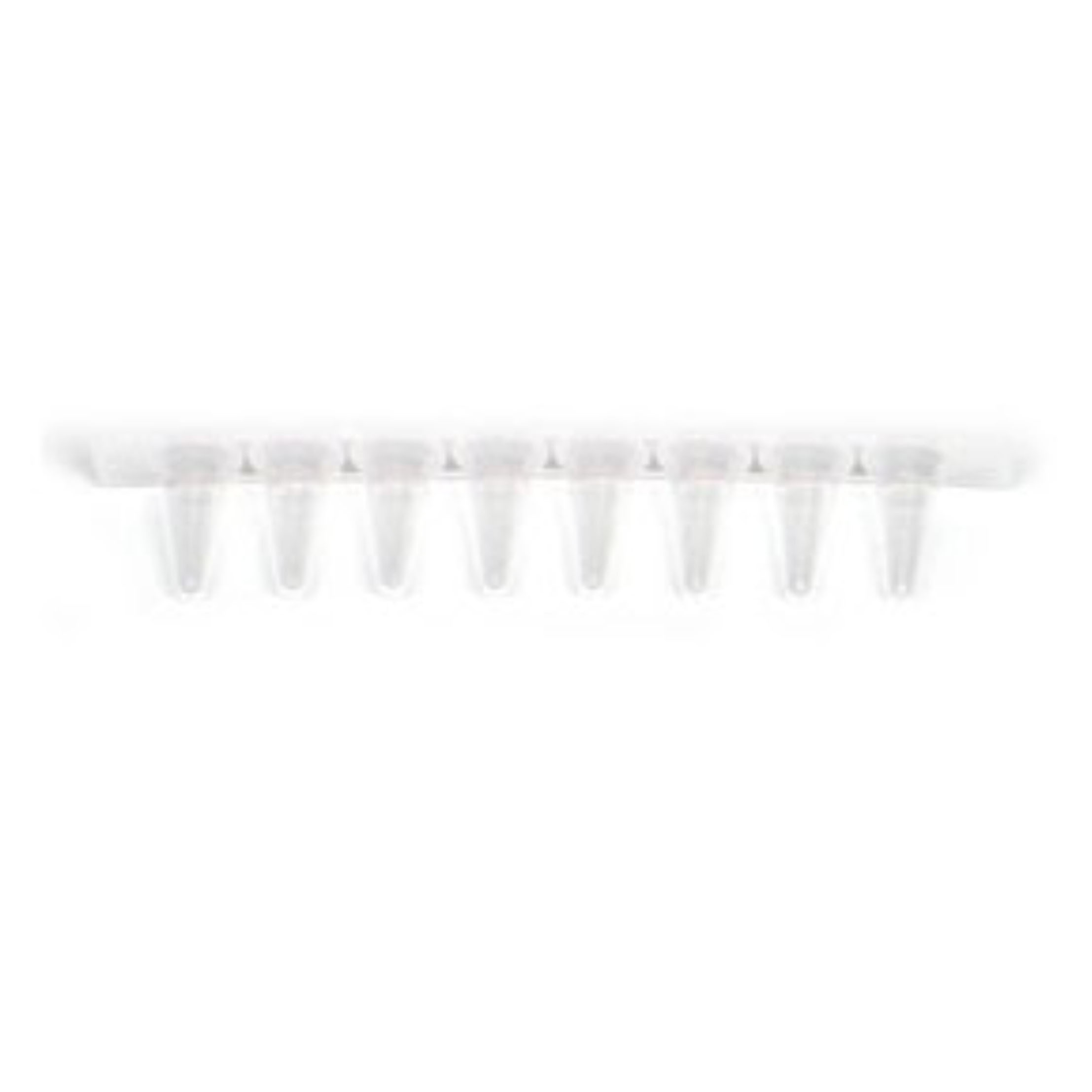 0.2 ml 8 管 PCR 聯(lián)管，無蓋，矮型，透明 0.2 ml 8-Tube PCR Strips without Caps, low profile, clear