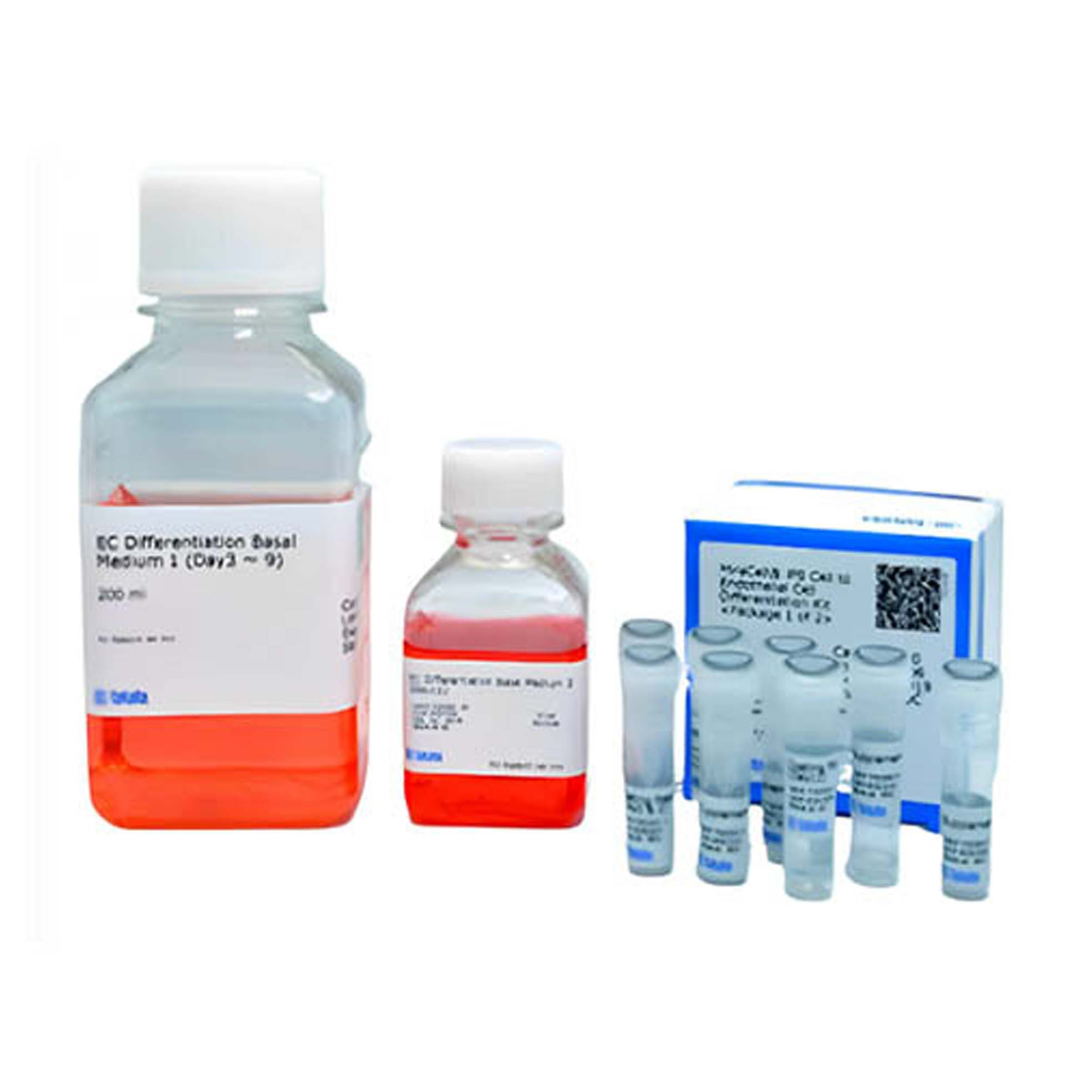 Cellartis ?人iPS細(xì)胞系18 （ChiPSC18）試劑盒 Cellartis? human iPS cell line 18 (ChiPSC18) Kit