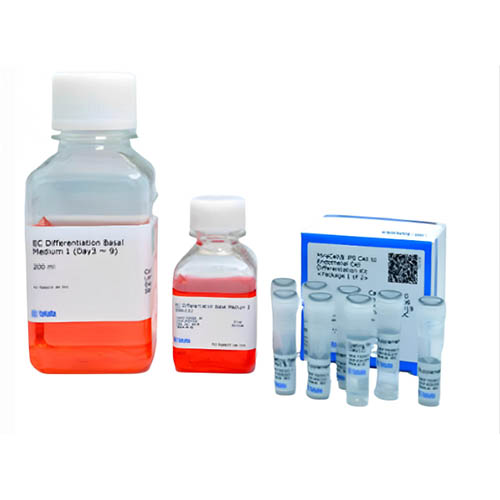 CellArtis  MiraCellm EC Culture Medium 內(nèi)皮細(xì)胞培養(yǎng)基 MiraCellm EC Culture Medium
