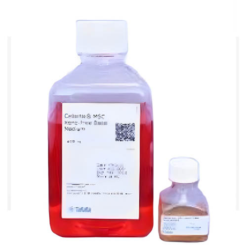 CellArtis  MiraCell?內(nèi)皮細(xì)胞（from ChiPSC12）試劑盒 MiraCell? Endothelial Cells (from ChiPSC12) Kit
